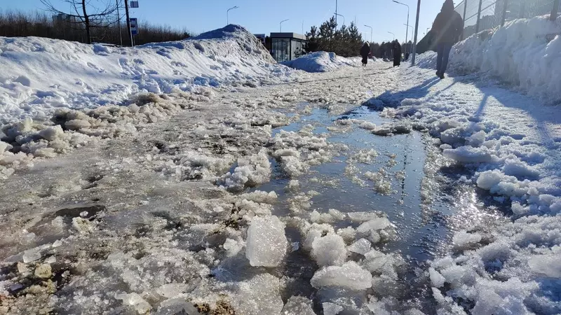 «Взяли в руки лом»: сургутяне начали самостоятельно спасать тротуары ото льда. Фото